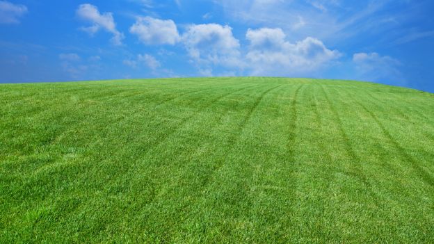 Marianna Somma Red Styler