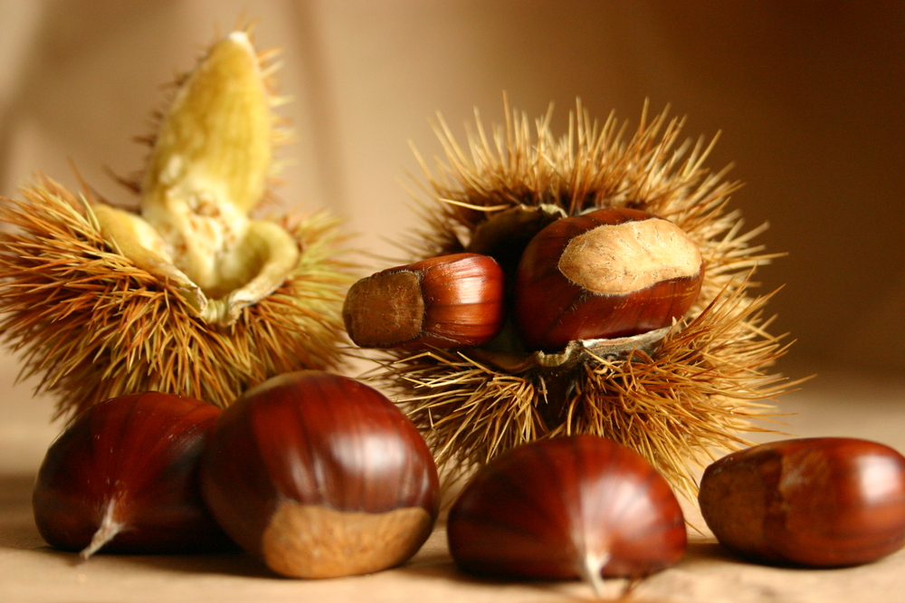 autunno