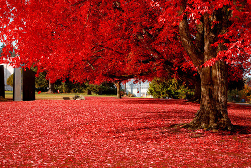 autunno