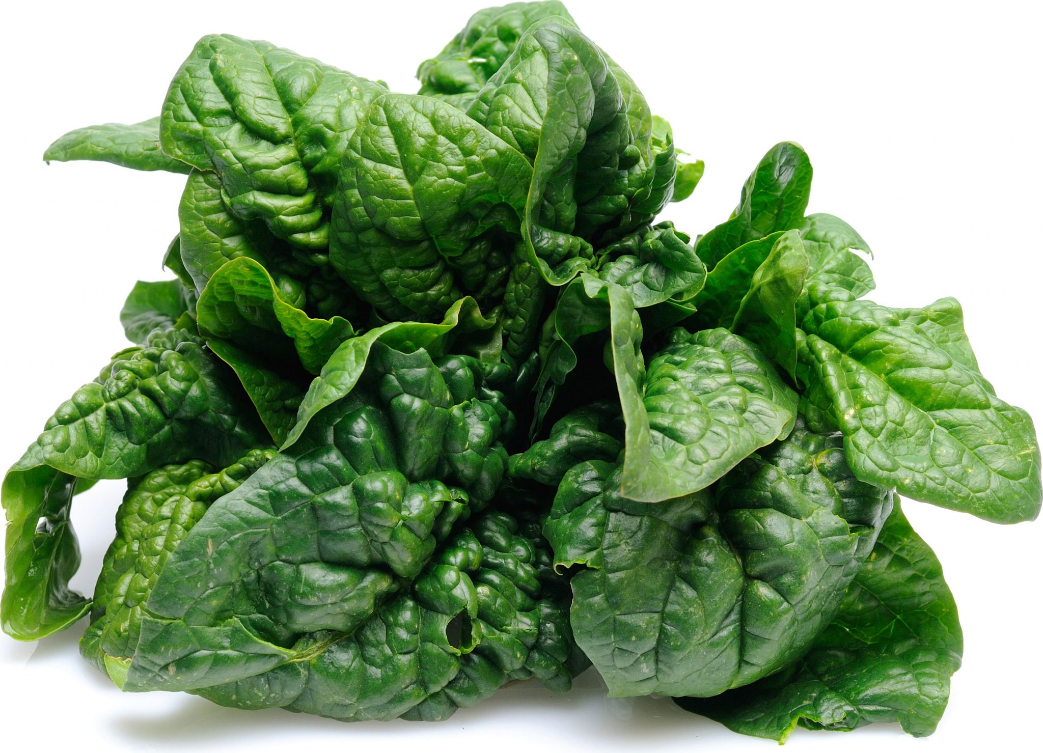 orto in cucina