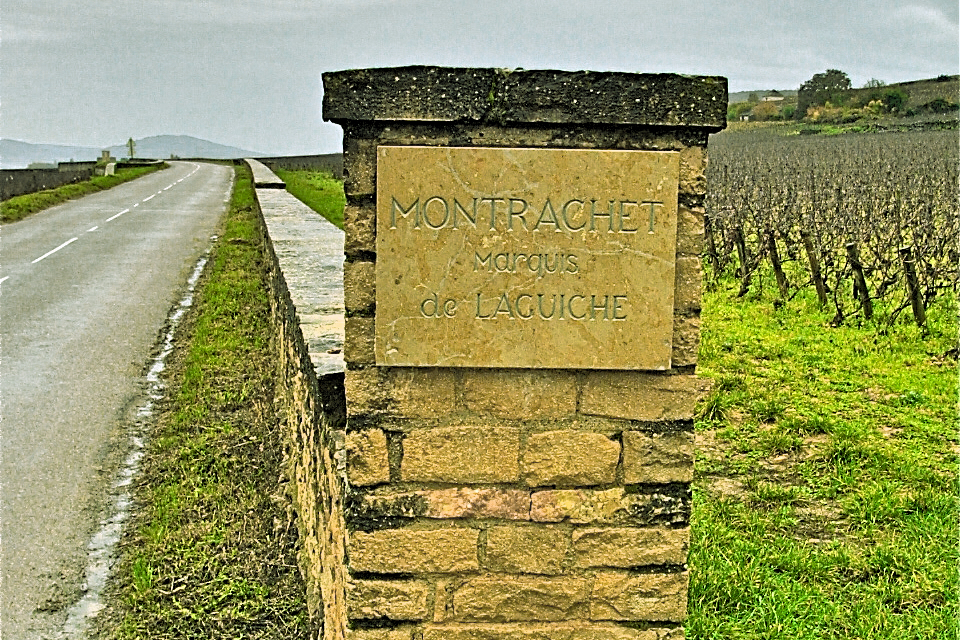 chassagne montrachet