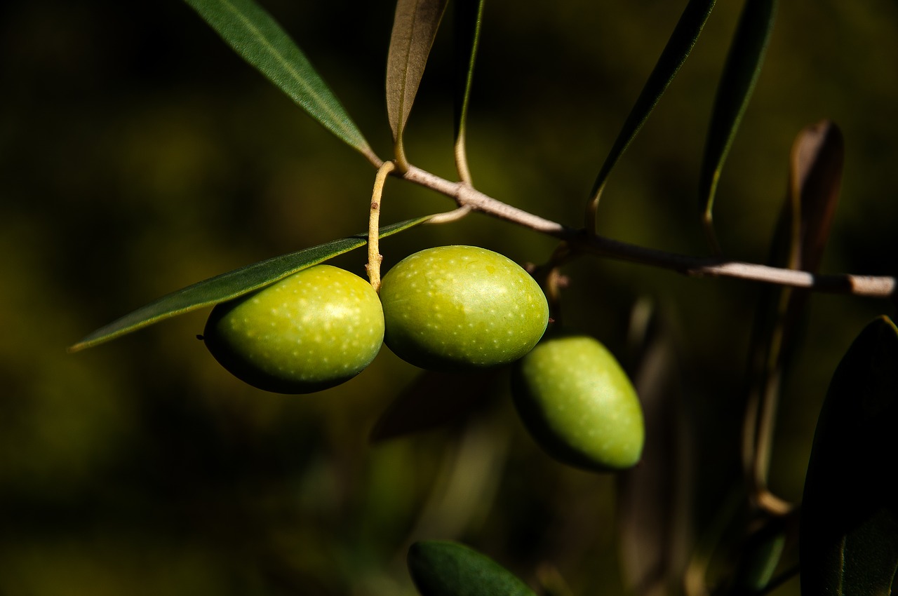 spuntini notturni