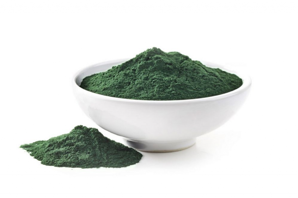alga spirulina